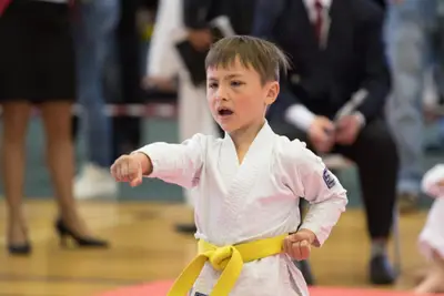 10th Baltic OPEN J.K.A. championship — 230