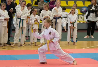 10th Baltic OPEN J.K.A. championship — 278