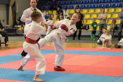 10th Baltic OPEN J.K.A. championship — 398