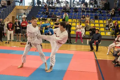 10th Baltic OPEN J.K.A. championship — 464