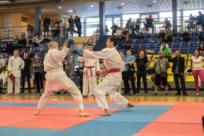 10th Baltic OPEN J.K.A. championship — 468