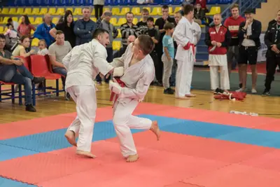 10th Baltic OPEN J.K.A. championship — 482