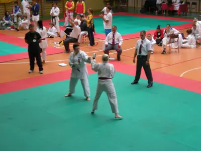 20. SKDUN World Shotokan karate-do Championship — 10