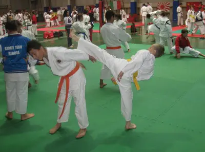 20. SKDUN World Shotokan karate-do Championship — 27