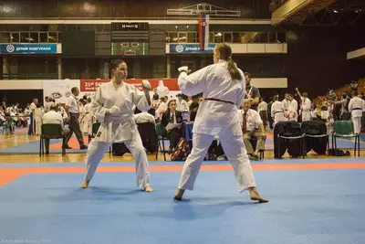 21st SKDUN World Shotokan karate-do championship — 90