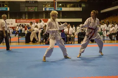 21st SKDUN World Shotokan karate-do championship — 93