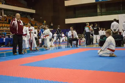 21st SKDUN World Shotokan karate-do championship — 80