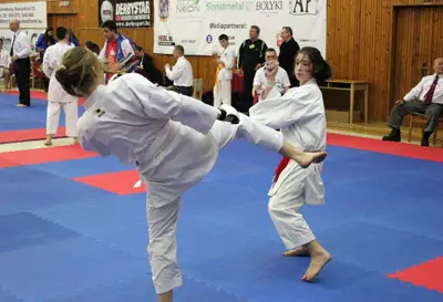 3rd SKDUN European Championship 2013 — 41