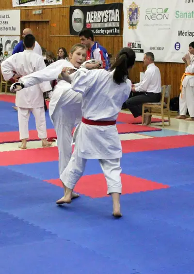 3rd SKDUN European Championship 2013 — 42