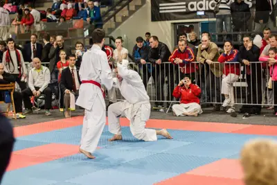 5th SKDUN EUROPEAN SHOTOKAN KARATE-DO CHAMPIONSHIP — 22