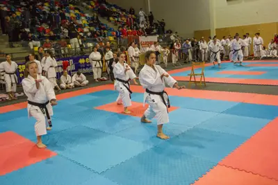 5th SKDUN EUROPEAN SHOTOKAN KARATE-DO CHAMPIONSHIP — 5