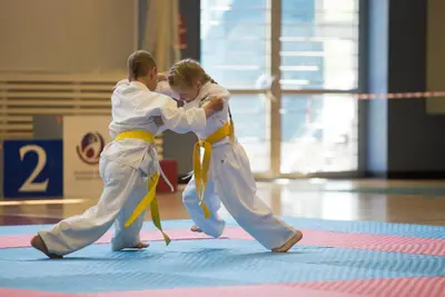 8th Baltic Open J.K.A. Championship — 85