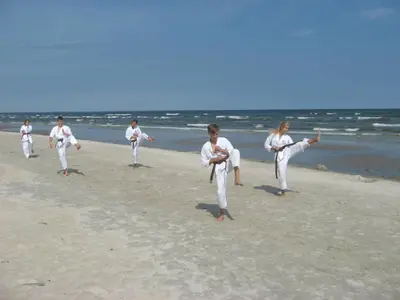 KARATE SUMMER CAMP 2014 — 99