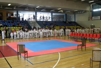Open Karate Championship - Jelgava 2013 — 3