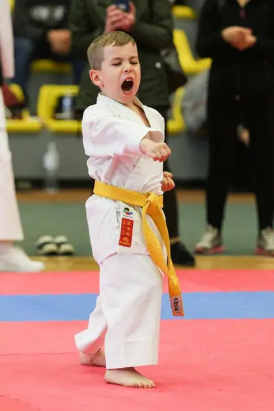 XI BALTIC OPEN J.K.A. karate-do championship — 280