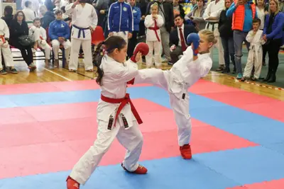 XI BALTIC OPEN J.K.A. karate-do championship — 345