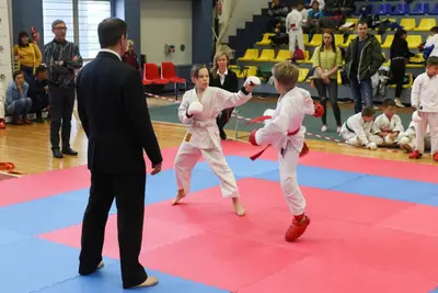 XI BALTIC OPEN J.K.A. karate-do championship — 397