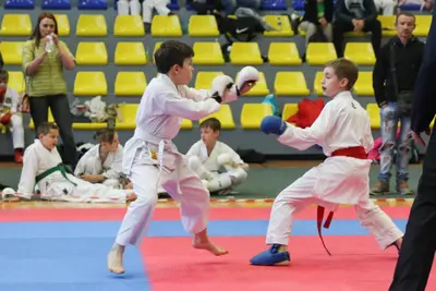 XI BALTIC OPEN J.K.A. karate-do championship — 402