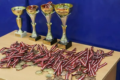 XI BALTIC OPEN J.K.A. karate-do championship — 406