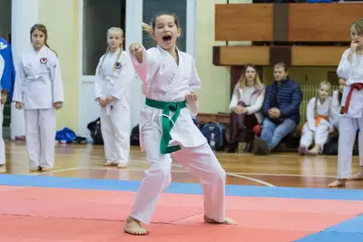 Zemgales novada karatē čempionāts 2017 — 106