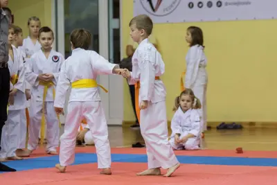Zemgales novada karatē čempionāts 2017 — 112