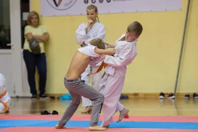 Zemgales novada karatē čempionāts 2017 — 117