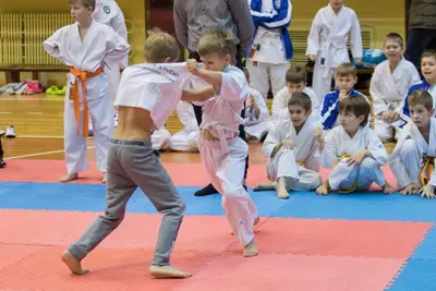 Zemgales novada karatē čempionāts 2017 — 126