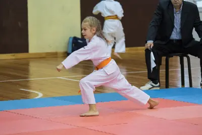 Zemgales novada karatē čempionāts 2017 — 149