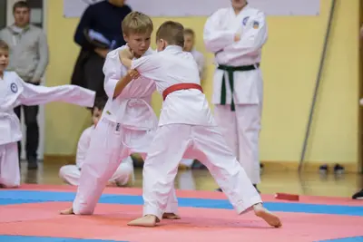 Zemgales novada karatē čempionāts 2017 — 180