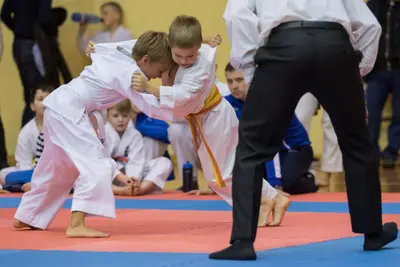Zemgales novada karatē čempionāts 2017 — 186