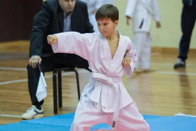 Zemgales novada karatē čempionāts 2017 — 193