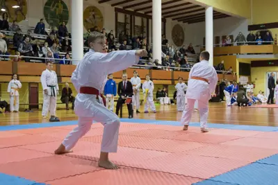 Zemgales novada karatē čempionāts 2017 — 37