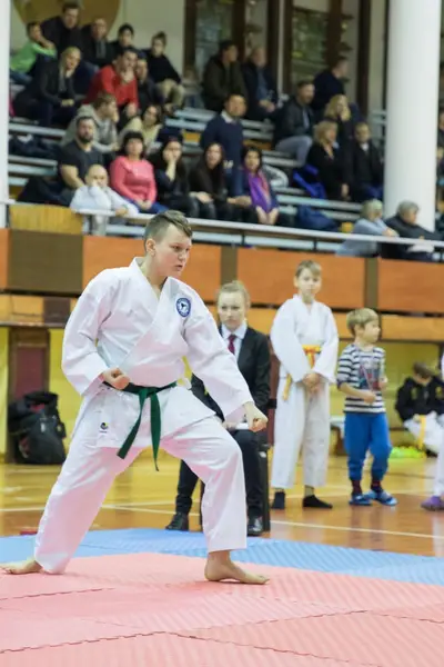 Zemgales novada karatē čempionāts 2017 — 39