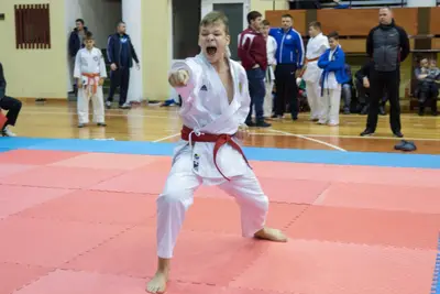 Zemgales novada karatē čempionāts 2017 — 46