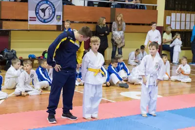 Zemgales novada karatē čempionāts 2017 — 47