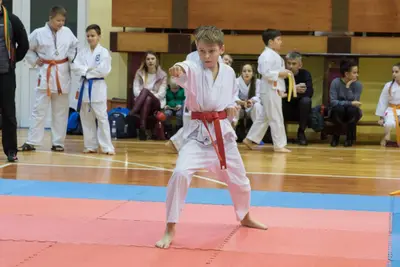Zemgales novada karatē čempionāts 2017 — 67
