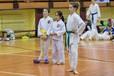 Zemgales novada karatē čempionāts 2017 — 84