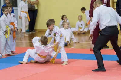 Zemgales novada karatē čempionāts 2017 — 96