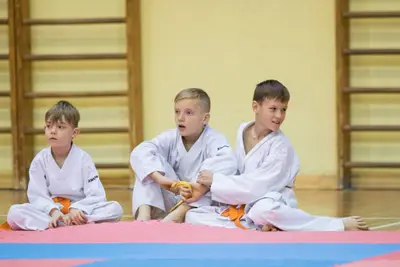 Zemgales novada karatē čempionāts 2017 — 98