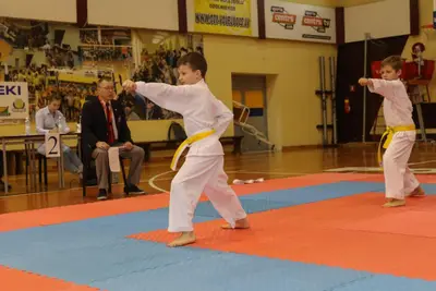 Zemgales Novada karate čempionāts - 25.11.2018 — 106