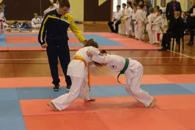 Zemgales Novada karate čempionāts - 25.11.2018 — 139