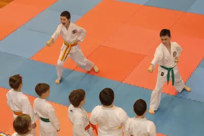 Zemgales Novada karate čempionāts - 25.11.2018 — 147