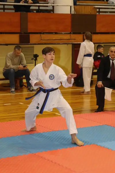 Zemgales Novada karate čempionāts - 25.11.2018 — 264