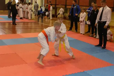 Zemgales Novada karate čempionāts - 25.11.2018 — 276