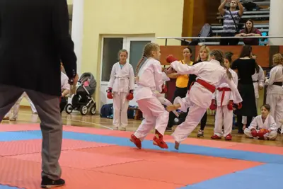 Zemgales Novada karate čempionāts - 25.11.2018 — 176