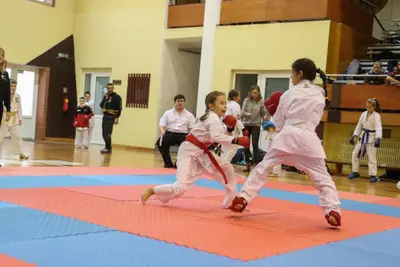 Zemgales Novada karate čempionāts - 25.11.2018 — 182