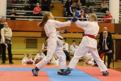 Zemgales Novada karate čempionāts - 25.11.2018 — 203
