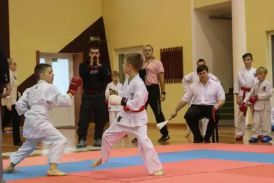 Zemgales Novada karate čempionāts - 25.11.2018 — 314