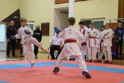 Zemgales Novada karate čempionāts - 25.11.2018 — 319