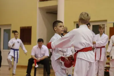Zemgales Novada karate čempionāts - 25.11.2018 — 326